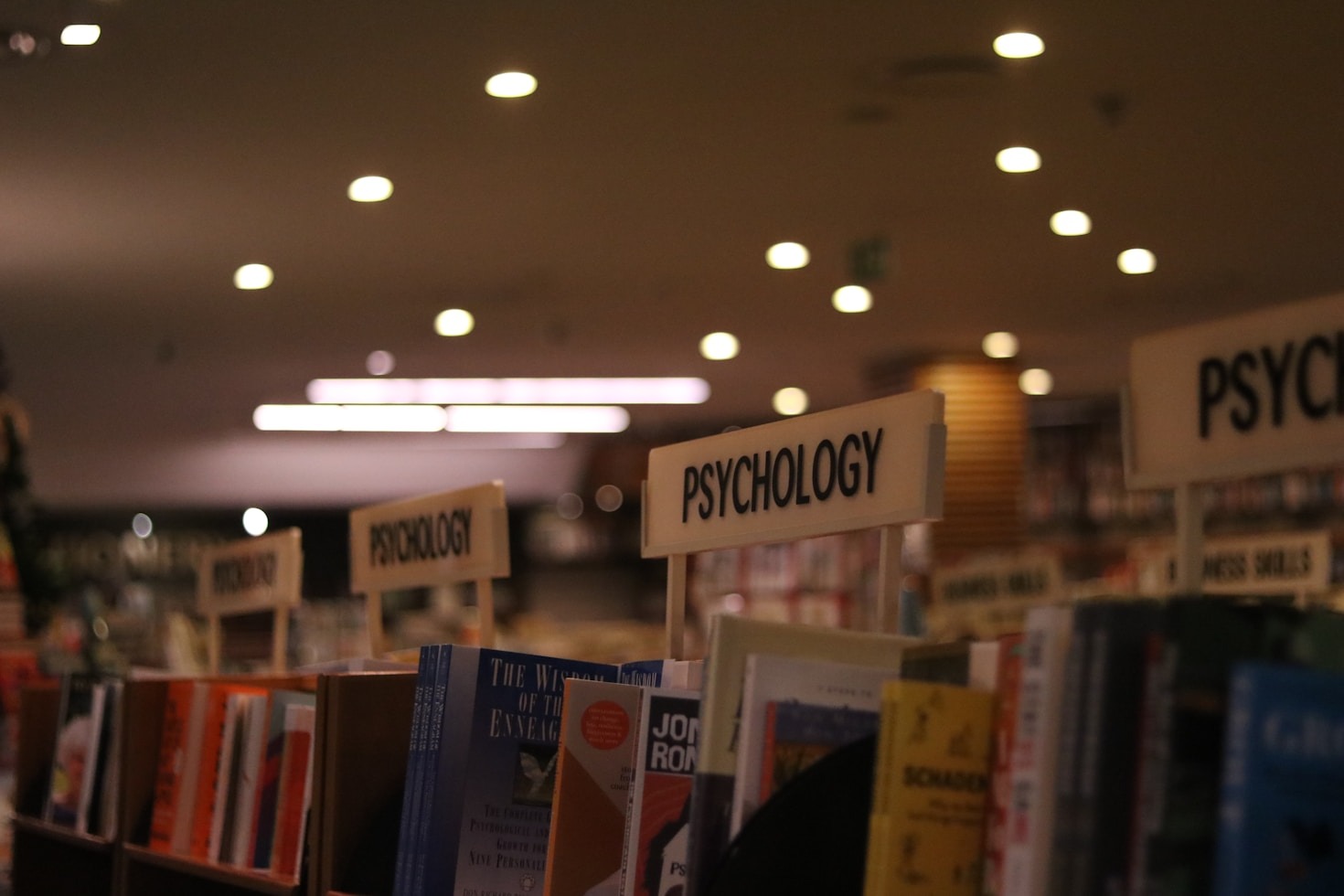 Claves para entender la conciencia y el crecimiento personal